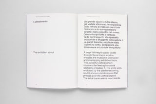 Extrordinary-Visions.-L'Italia-ci-guarda-(Book)-18-Architect-essay