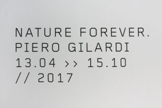 MAXXI-Nature-Forever.-Piero-Gilardi-03-Exhibition-Title-Date-Typography