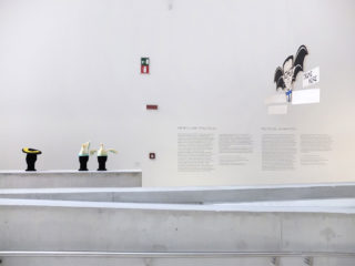 MAXXI-Nature-Forever.-Piero-Gilardi-09-Exhibition-Section-Title-Text