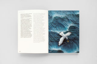 MAXXI-Nature-Forever.-Piero-Gilardi-Book-Catalogue-07-Chapter-Image