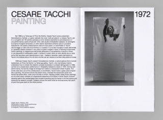 15-ESS-MAXXI-Elisabetta-Catalano-Exhibition-Photography-Brochure-Typography-Spread-Artist-Performance-Cesare-Tacchi