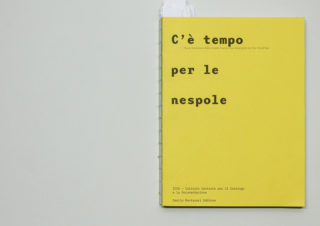 01_ICCD_C'è-tempo-per-le-nespole_Book_Cover_Typography