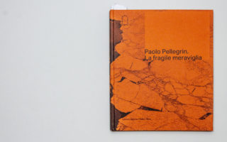 01-Paolo-Pellegrin_La-fragile-meraviglia_Skira_Book_Cover