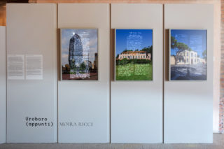 07_C'è-tempo-per-le-nespole_Exhibition_Project_Photography_Moira-Ricci