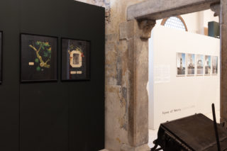 08_C'è-tempo-per-le-nespole_Exhibition_Project_Photography_Hitnes_Claudio-Gobbi
