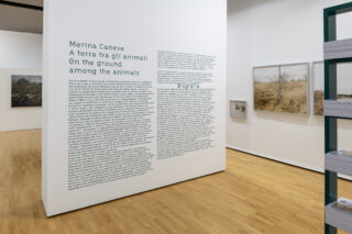 Marina Caneve - A terra tra gli animali