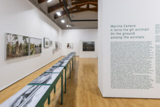 Marina Caneve - A terra tra gli animali