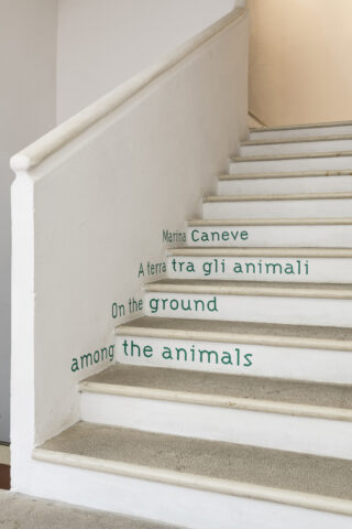 Marina Caneve - A terra tra gli animali
