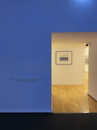 ESS_Marina-Caneve_On-the-ground-among-the-animals_FMAV_Exhibition-graphic-design_10