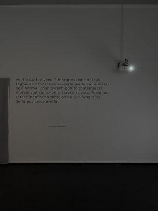 ESS_Marina-Caneve_On-the-ground-among-the-animals_FMAV_Exhibition-graphic-design_11