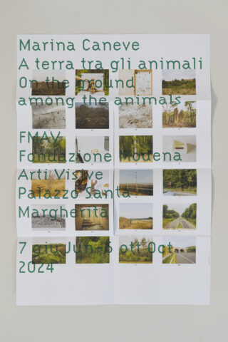 ESS_Marina-Caneve_On-the-ground-among-the-animals_FMAV_Exhibition-graphic-design_13