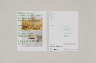 ESS_Marina-Caneve_On-the-ground-among-the-animals_FMAV_Exhibition-graphic-design_15