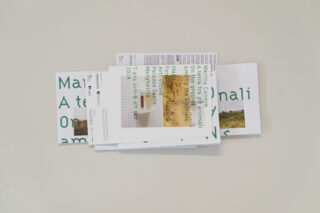 ESS_Marina-Caneve_On-the-ground-among-the-animals_FMAV_Exhibition-graphic-design_16