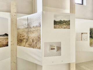 ESS_Marina-Caneve_On-the-ground-among-the-animals_IIC_Prague_Exhibition-graphic-design_03