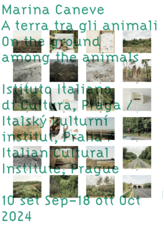 ESS_Marina-Caneve_On-the-ground-among-the-animals_IIC_Prague_Exhibition-graphic-design_04